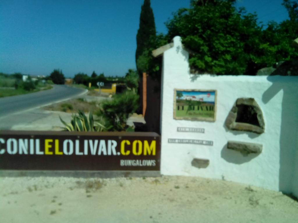 El Olivar De Roche Viejo Conil De La Frontera Exterior photo